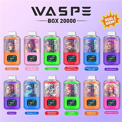Waspe 20000 পাফস দ্বৈত জাল বক্স ডিসপোজেবল